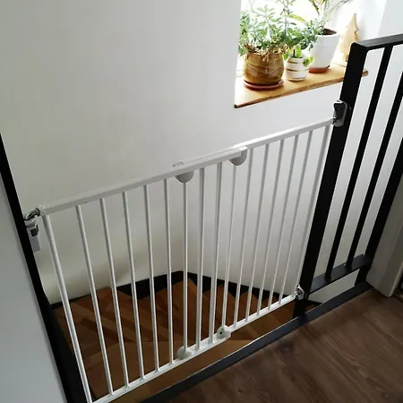Les Clematites Au Coeur Des Volcans D'auvergne Ferienhaus